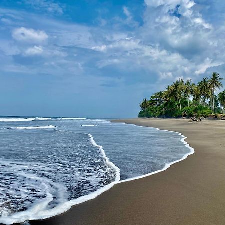 Balian Prana Hotel Selemadeg  Luaran gambar