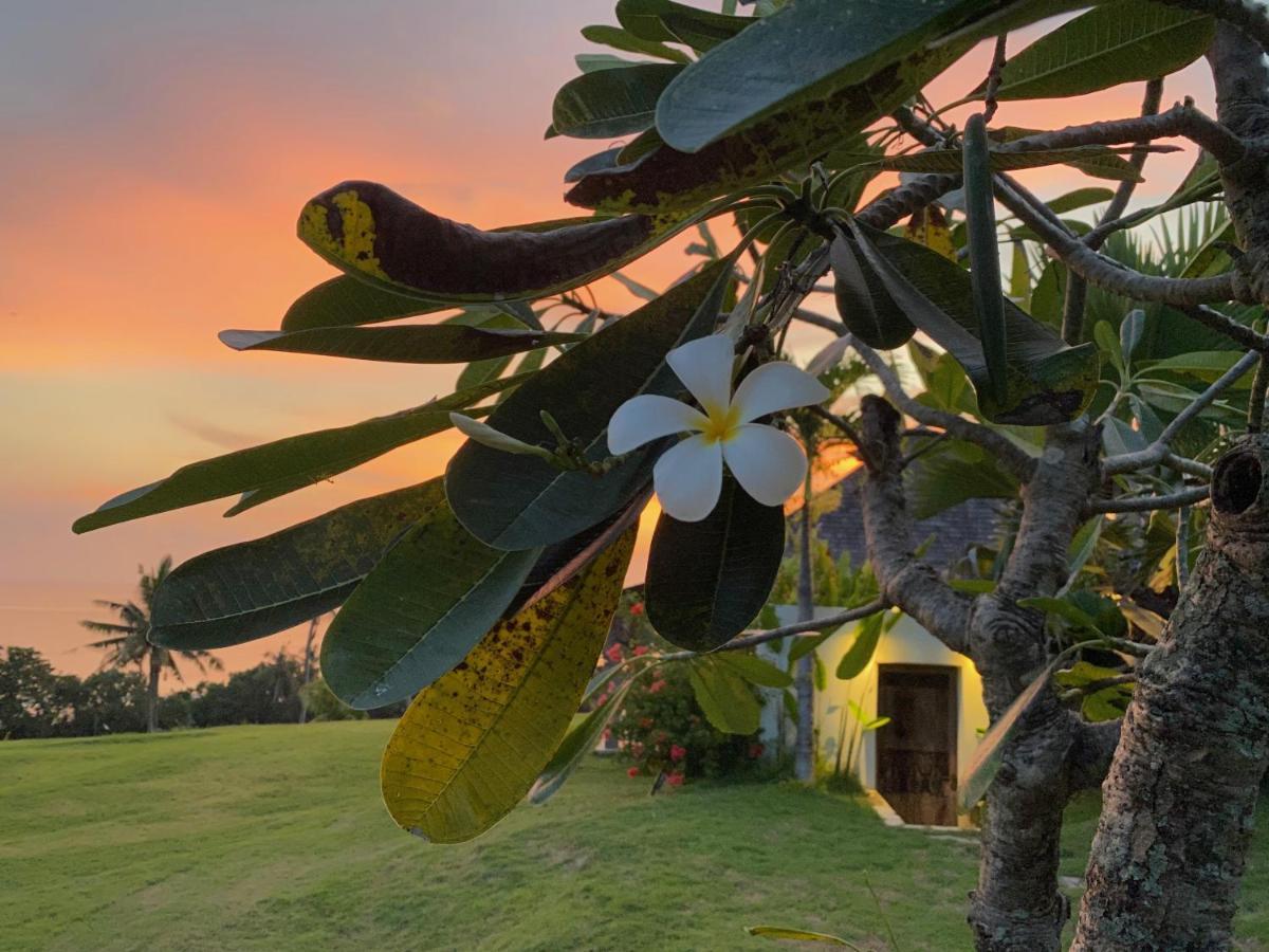 Balian Prana Hotel Selemadeg  Luaran gambar