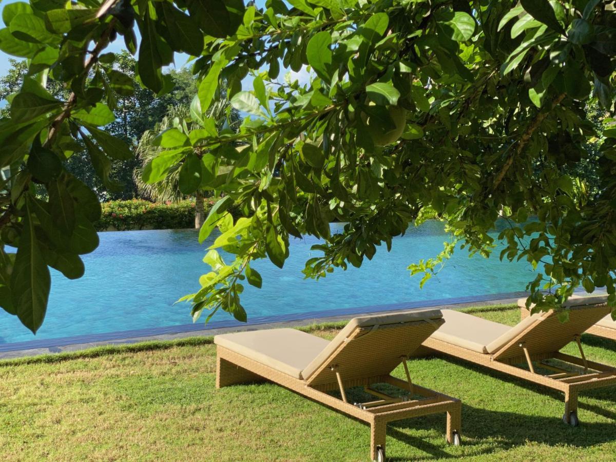 Balian Prana Hotel Selemadeg  Luaran gambar