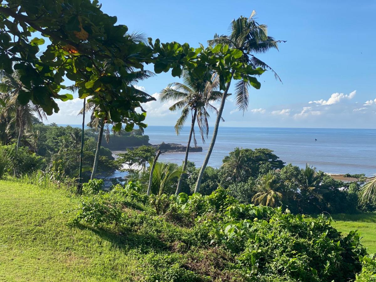 Balian Prana Hotel Selemadeg  Luaran gambar
