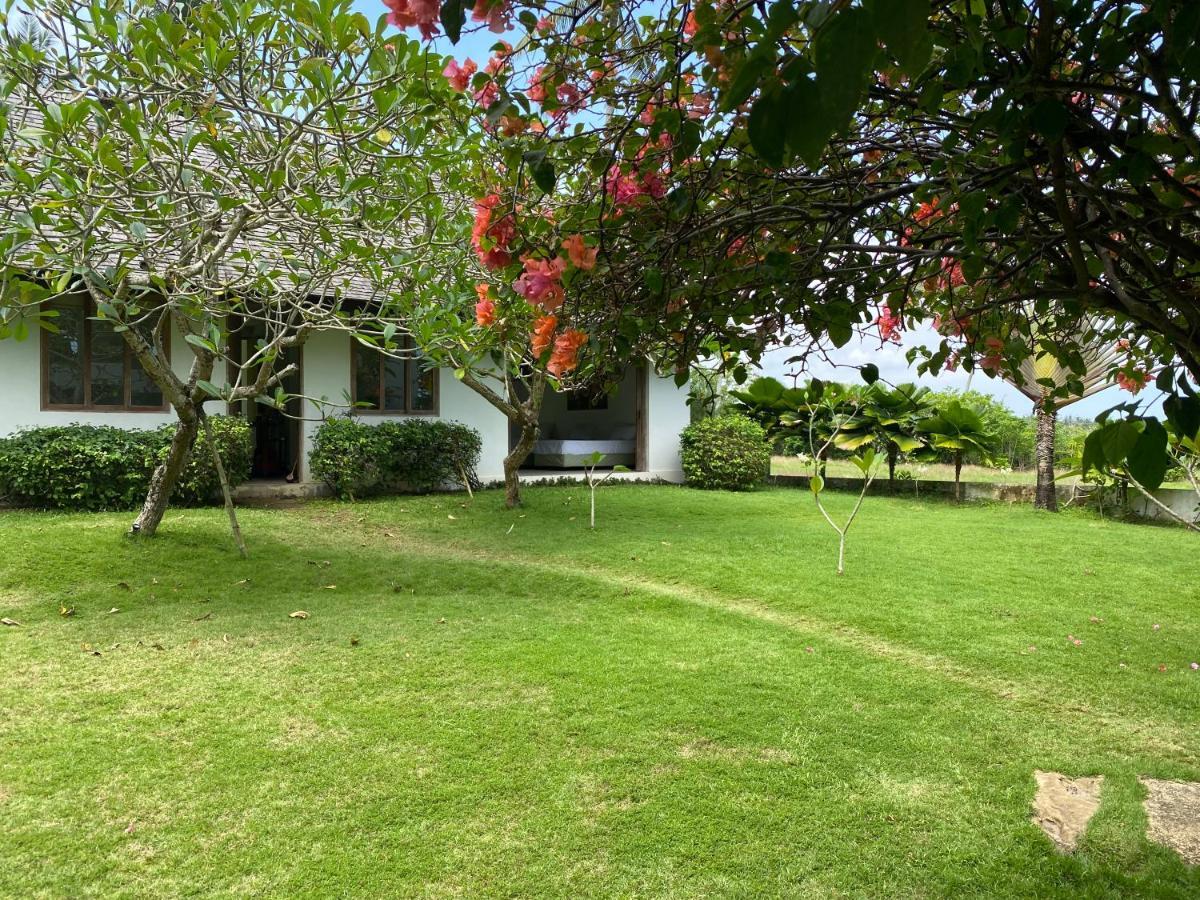Balian Prana Hotel Selemadeg  Luaran gambar