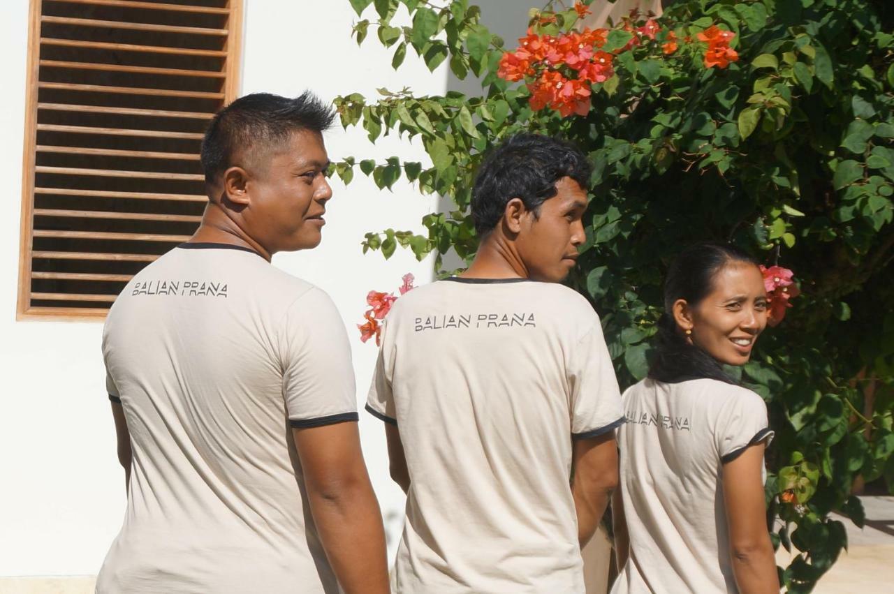 Balian Prana Hotel Selemadeg  Luaran gambar